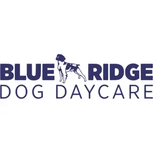 Blueridge Dog Daycare